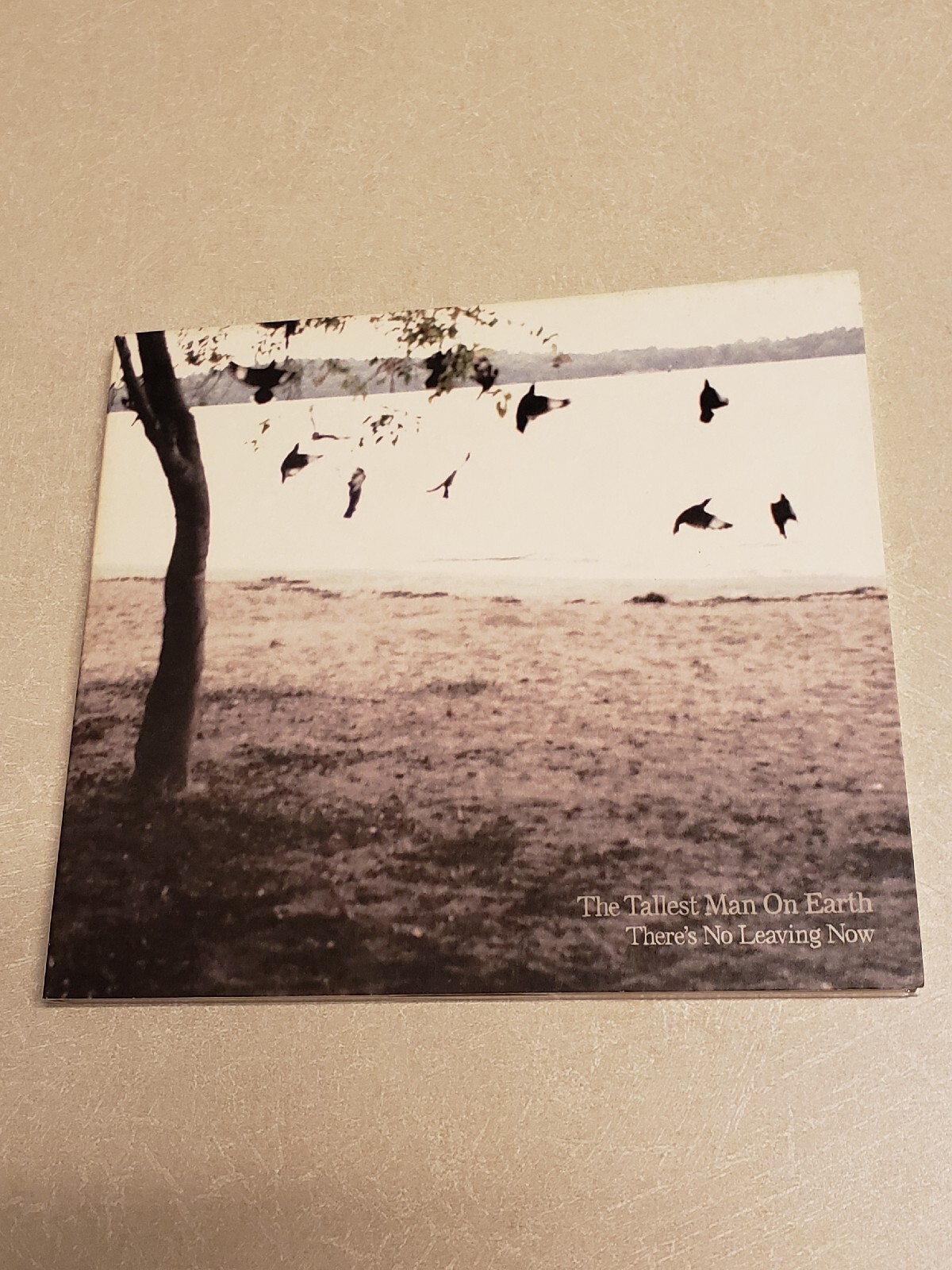 There’s No Leaving Now by The Tallest Man on Earth (CD, 2012) Dead Oceans