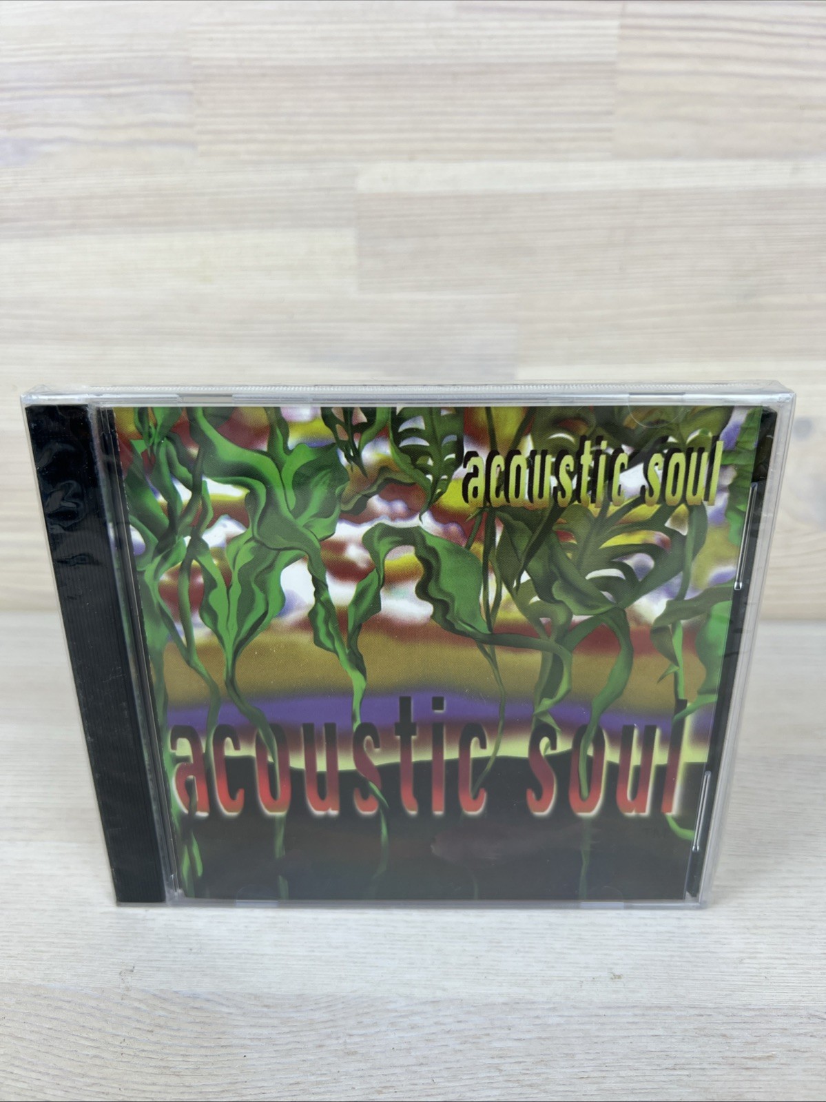 Acoustic Soul by Acoustic Soul (CD, 2007) Brand New Sealed