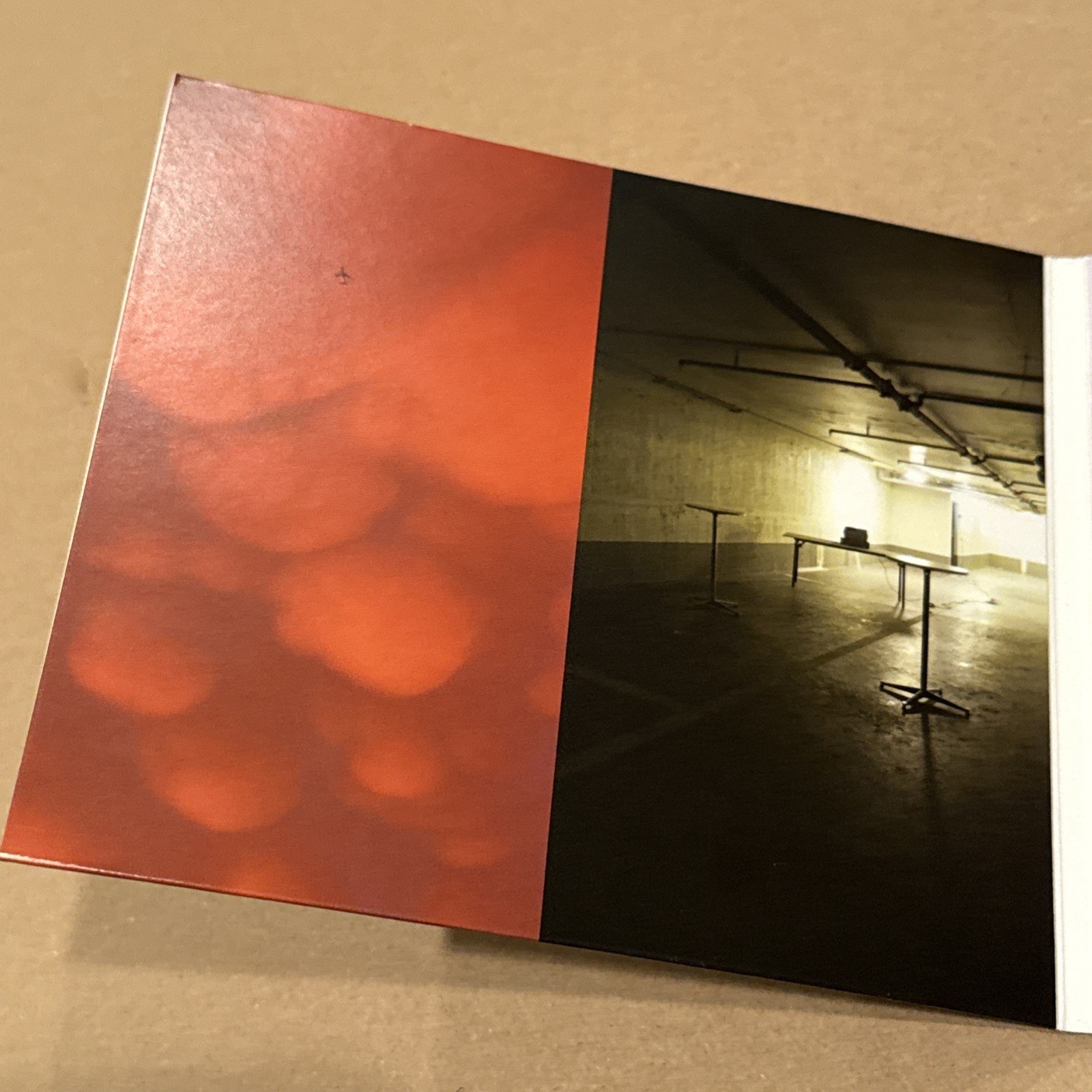 Brendan Perry [of Dead Can Dance]: Ark (CD, 2011, Cooking Vinyl)