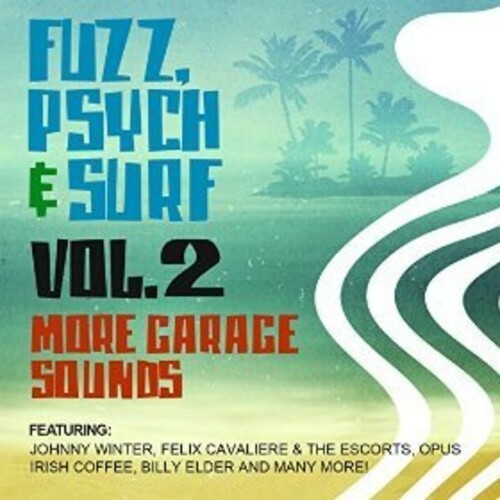Various Artists – Fuzz, Psych & Surf, Vol. 2 – More Garage Sounds [New CD] Allia