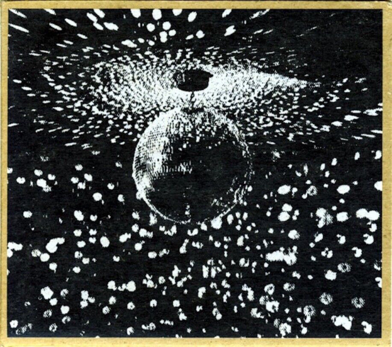 Neil Young – Mirror Ball (CD, Jun-1995, Warner Bros.)