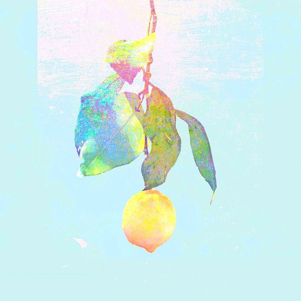 Kenshi Yonezu Lemon Cd Single Pop Music Hit Song Heartfelt Vocal Ballad Edition