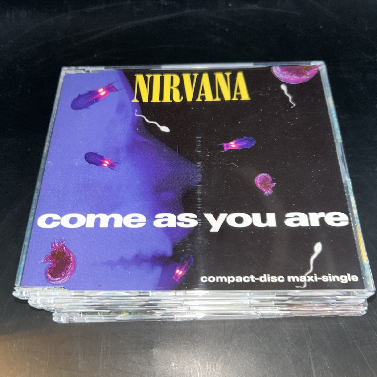 NIRVANA • The Nevermind & In Utero Singles 6CD Box Set NIR9505 Rare