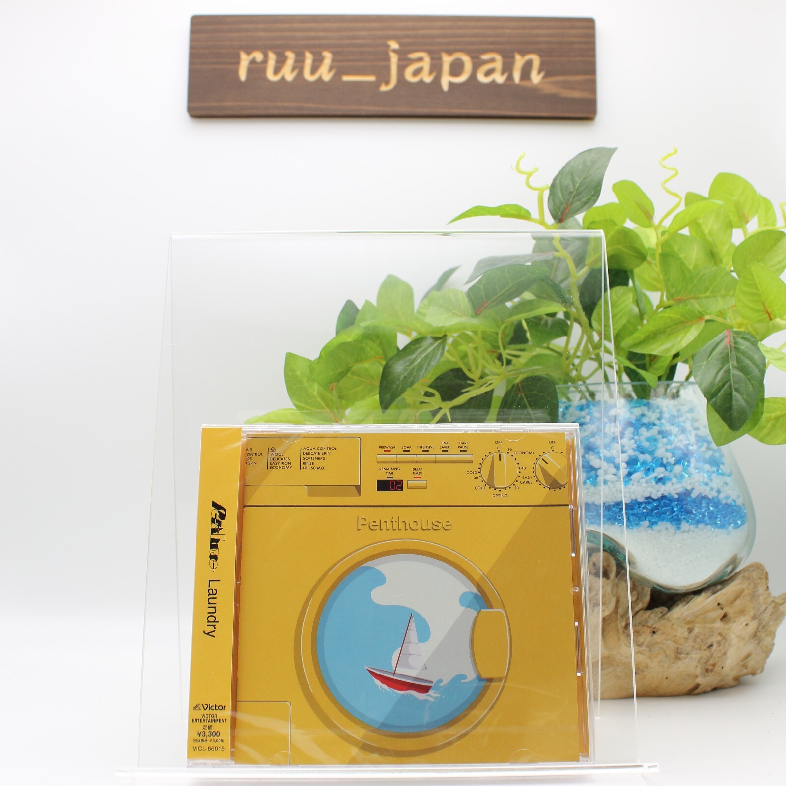 New Penthouse Laundry Standard Edition CD Hayato Sumino Cateen Band VICL-66015