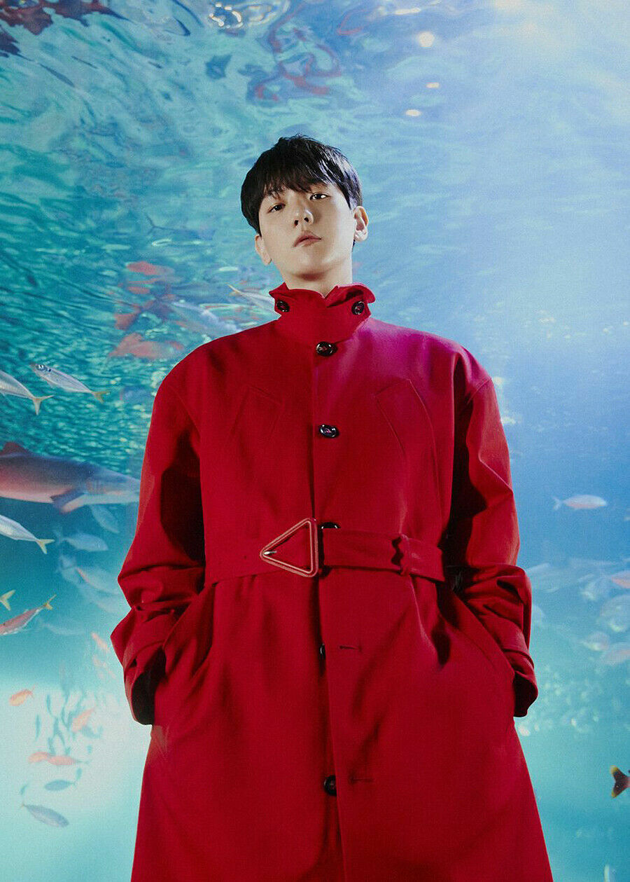 EXO BAEKHYUN BAMBI 3rd Mini Album PHOTO BOOK BAMBI CD+Book+3 Card+F.Poster+etc