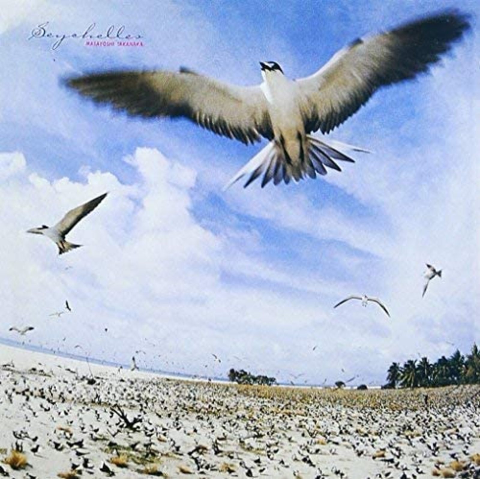 MASAYOSHI TAKANAKA SEYCHELLES CD from Japan