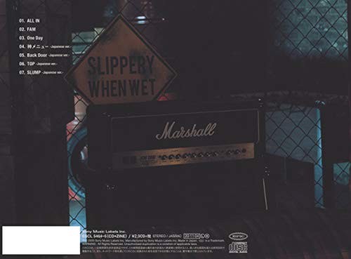 Stray Kids ALL IN Type C From Japan CD + DVD 7tracks Music
