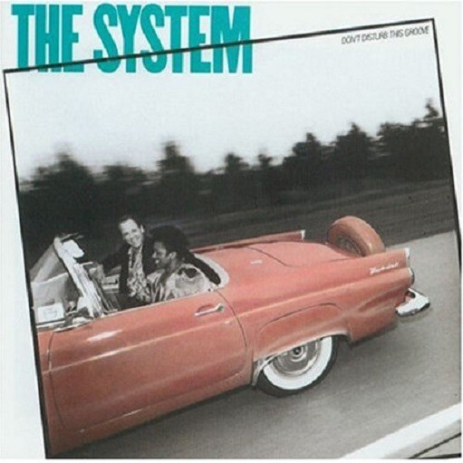 The System – Don’t Disturb This Groove – Bonus Track – New CD