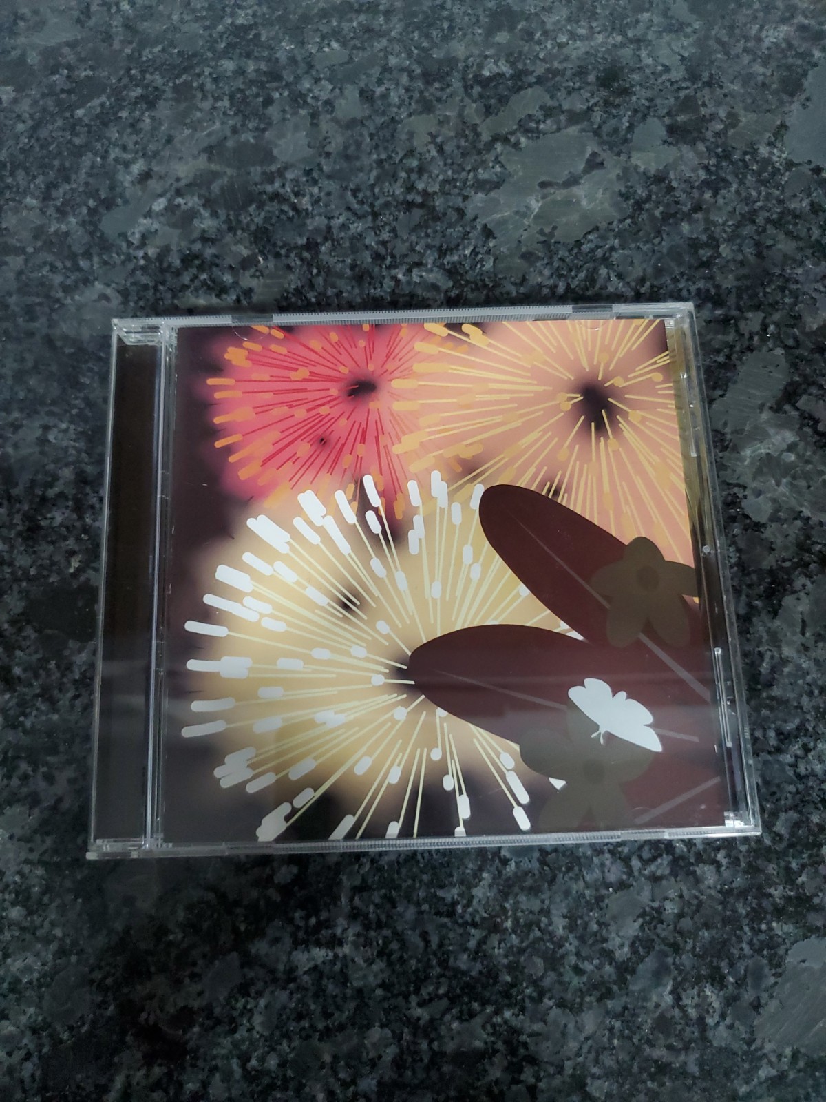 Bright Eyes Noise Floor CD Album