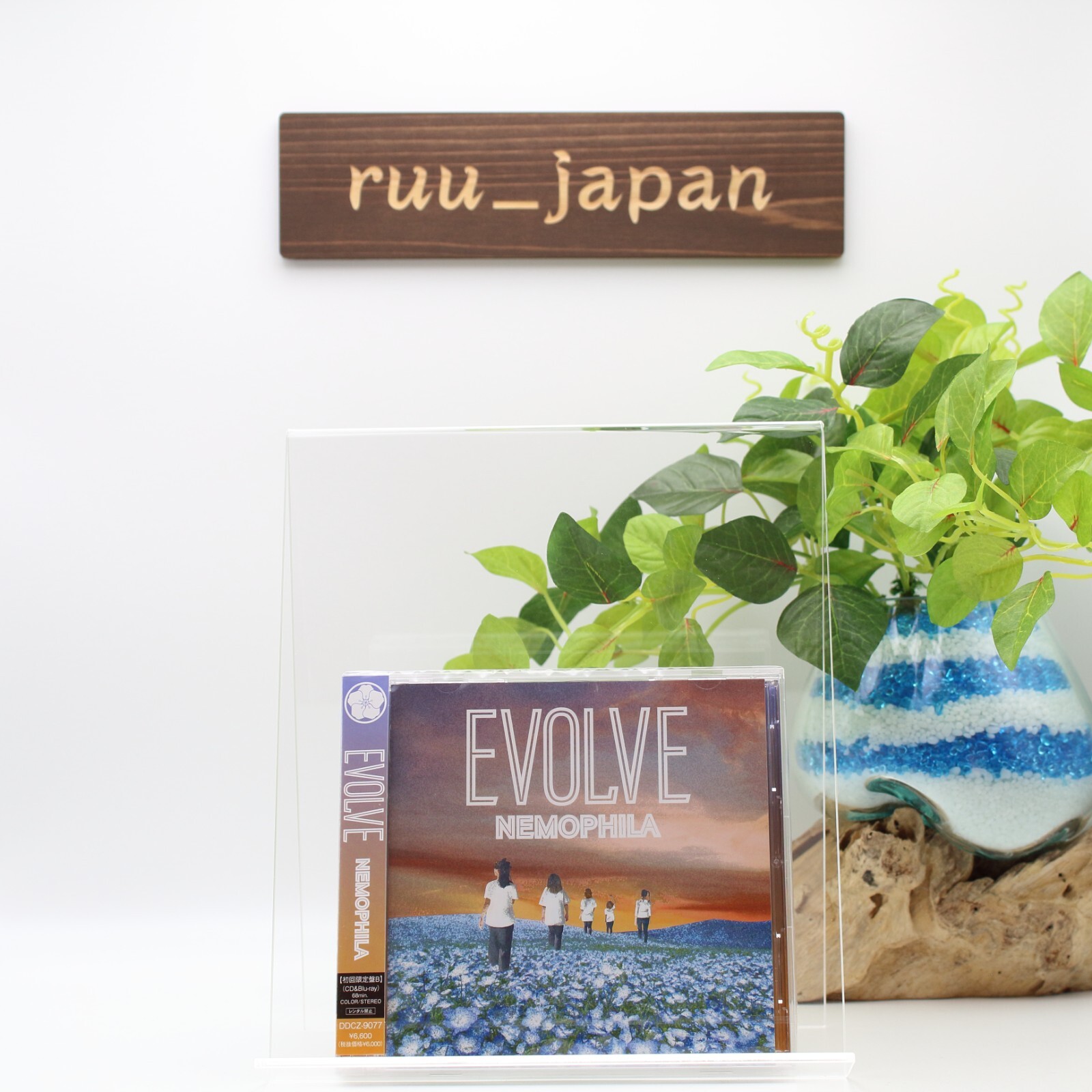 NEMOPHILA EVOLVE First Limited Edition Type B CD Blu-ray Japan new