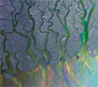 Alt-J : An Awesome Wave CD (2012) Value Guaranteed from eBay’s biggest seller!