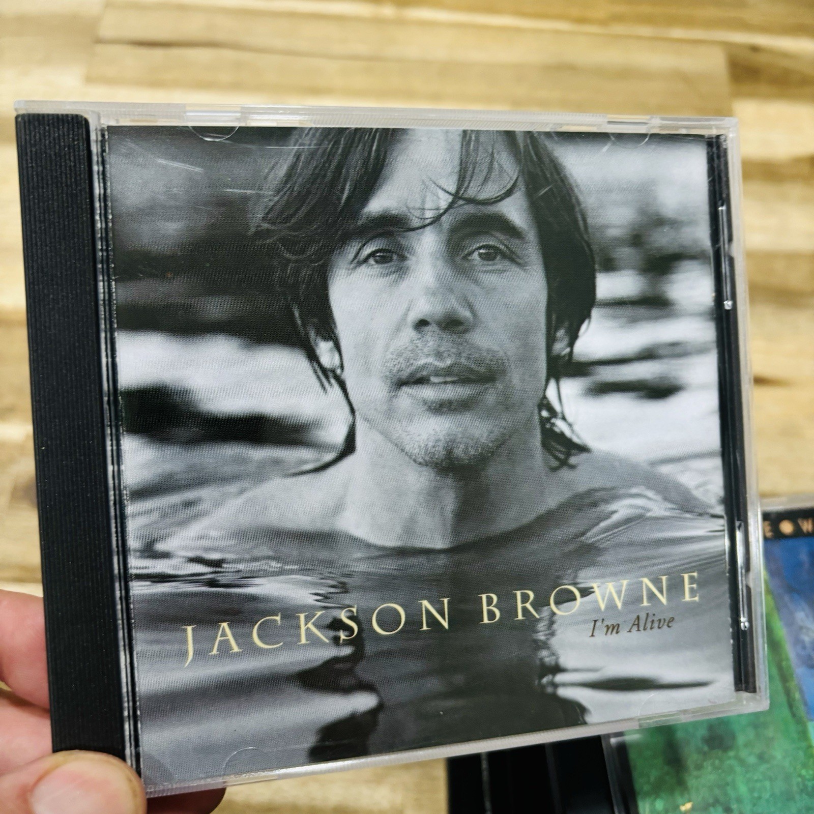 Lot of 13 CDs Classic Rock Sting Jackson Browne The Band Allman Brothers